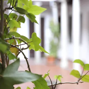 Adanar-las Columnas Appartement