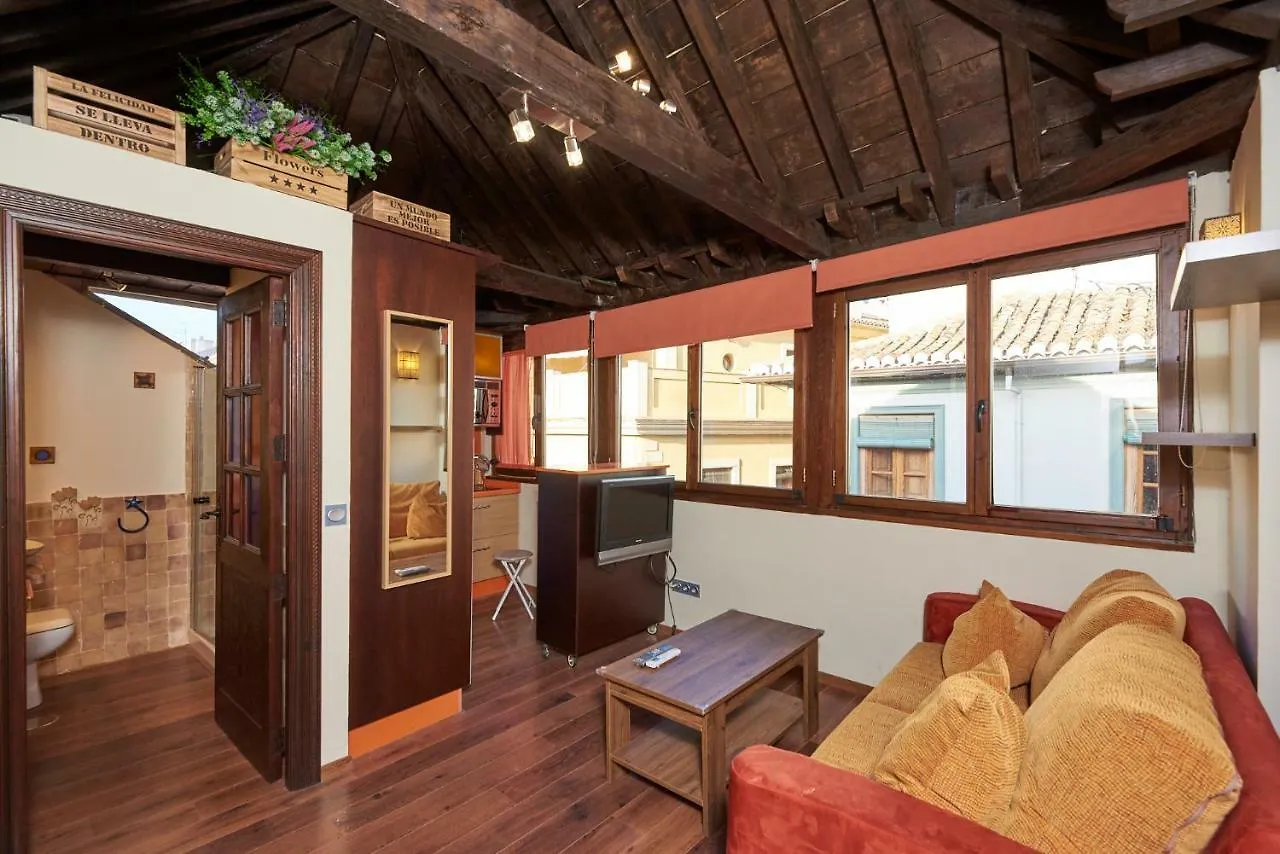 Penthouse, Petit San Matias Apartment Granada