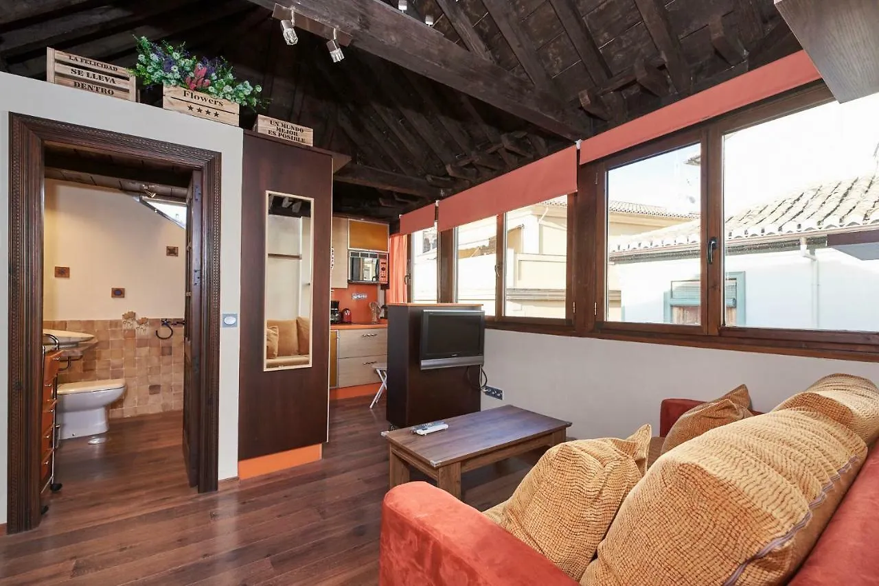 グラナダPenthouse, Petit San Matiasアパートメント